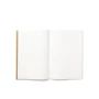 Блокнот Octagon Kraft Notebook Not a Flying Car (OC - NOT A FLYING CAR) фото 3