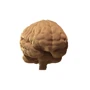 Картонний конструктор Cartonic 3D Puzzle BRAIN фото 4