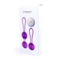 Набор вагинальных шариков с вибрацией и пультом ДУ FOX - Vibrating Silicone Kegel Balls Set USB