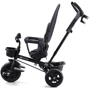 Триколісний велосипед Kinderkraft Aveo Malachite Gray (00-00305169): Рекомендований вік от 9 месяцев