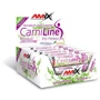 Жиросжигатель Amix Nutrition CarniLine 2000 mg 10х25 ml Pineapple