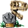 Конструктор LEGO Jurassic World Скам'янілості динозаврів: череп тиранозавра (76964): Рекомендований вік от 9 лет