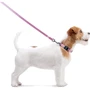 Нашийник WAUDOG Nylon з QR-паспортом, що світиться, пластиковий фастекс 15 мм 23-35 см рожевий (45627): Країна виробник Україна