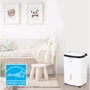 Осушитель воздуха Honeywell TP Big (33л): Способ установки Напольный