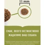 Сухой корм ACANA Puppy Recipe для щенков средних пород с мясом цыпленка 17 кг (a50017): Тип Сухой корм