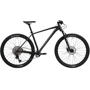 Велосипед Cyclone SLX 29" L черный матовый 2024