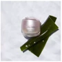 Shiseido Benefiance Wrinkle Smoothing Cream Разглаживающий крем 50 ml: Время применения Универсальный