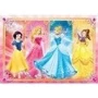 Пазл 2 в 1 Clementoni Princess 2 по 60 элементов (8005125071333): Производитель Clementoni