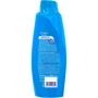 Shamtu Volume Plus Shampoo 600 ml Шампунь c экстрактами фруктов: Классификация Масс-маркет