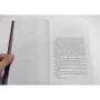 MESMERIZED. Павло Перший, Месмер і їх епоха: Жанр Сучасна проза