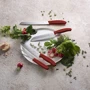 Ніж Victorinox SwissClassic Santoku 17 см (6.8521.17B): Лезо Нержавіюча сталь