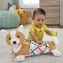 Розвиваючий ігровий набір Fisher-Price Цуценя (HJW10) фото 6