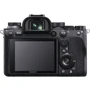 Sony Alpha A9 II body (ILCE9M2B.CEC) UA: Чувствительность ISO авто, 100-51200 (расширяемый 50-204800)