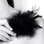 Мітелочкою Bijoux Indiscrets Pom Pom - feather tickler