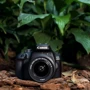 Canon EOS 4000D Body: Размер дисплея 2.7&quot;