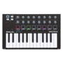 MIDI-клавиатура Arturia Minilab MKII Black Edition + Arturia Analog Lab V: Количество клавиш 25