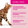 Сухий корм Optimeal Adult cats для дорослих кішок зі смаком телятини 6x0.65 кг (4820083906114): Вага упаковки 3.9 кг