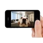 Belkin NetCam Wi-Fi Camera with Night Vision: Тип корпуса Спрямована (міні-камера)