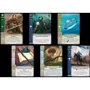 Настільна гра White Games / Geekach Games Війна Кільця. Картка (War of the Ring: The Card Game) (300108): Вид стратегические