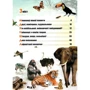 Рекорди в світі тварин: ISBN 978-966-8826-45-0