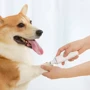 Триммер для когтей домашних животных Xiaomi Pawbby Pet Electric Mill a Methyl Controller White: Материал металл/пластик
