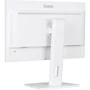 Монітор iiyama XUB2497HSN-W2: Частота оновлення екрану, Гц 100