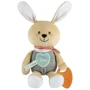 Іграшка м'яка Chicco Зайченя My Sweet Dou Dou (11467.00)
