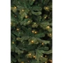 Елка искуственная Triumph Tree Sherwood deLuxe зелёная LED 120 ламп. 1.55 м: Вид Ель