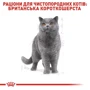 Сухой корм для котов Royal Canin British Shorthair пород британская короткошерстная 2 кг (2557020): Возраст Взрослые