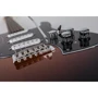 Электрогитара LINE6 Variax Standard SB: Тип Электрогитара