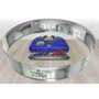 Робот-пилосос Dyson 360 VisNav (304623-01): Тип для сухой уборки
