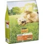 Сухий корм Friskies для дорослих собак з куркою та овочами 2.4 кг (7613034232168): Тип Сухой корм