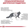 Сухий корм для котів Royal Canin Hepatic при захворюваннях печінки 2 кг (401202091): Вік дорослі