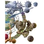 Сашко Лірник: Серце Шувара: ISBN 978-966-365-130-9