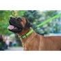 Ошейник WAUDOG Waterproof водостойкий, пряжка крючок 25 мм 35-70 см салатовый (27195): Ширина 25 мм