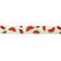 Поводок короткий для собак Max & Molly Short Leash Watermelon L (4894512015722): Длина 1.2 м