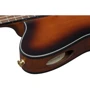Гитара классическая IBANEZ FRH10N-BSF: Количество струн 6
