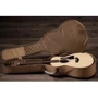 Гитара акустическая TAYLOR GUITARS GS MINI SAPELE (235427): Количество струн 6