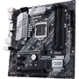 ASUS PRIME Z490M-PLUS: Роз'єми на задній панелі USB 3.0 (USB 3.1 Gen 1), USB 3.1 Gen 2
