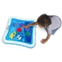 Водний розвиваючий килимок Baby Einstein Opus's Ocean of Discovery (16628) фото 4