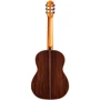 Гитара классическая CORDOBA C10 SP W/C: Материал корпуса Цельный палисандр (Solid Rosewood)