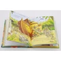 Illustrated Stories from Around the World: ISBN 9781409516491