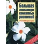 Большая энциклопедия комнатных растений