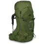Рюкзак туристический Рюкзак туристический Osprey Aether 65 S21 Garlic Mustard Green S/M хаки (009.2400)