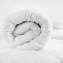 Одеяло ТЕП Alaska microfiber 200х220см (4820185677653)