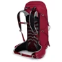 Рюкзак туристический Рюкзак туристический Osprey Talon 36 S21 Cosmic Red L/XL бордовый (009.2298): Производитель Osprey