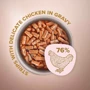 Влажный корм Club 4 Paws Premium Selection Cat Strips Chicken in Gravy полоски в соусе с курицей для котов 12х85 г (4820215368094): Класс Премиум