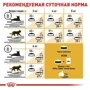 Сухой корм Royal Canin Siamese Adult для взрослых кошек Сиамской породы 2 кг (2551020: Возраст Взрослые