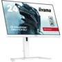 Монитор iiyama GB2470HSU-W5: Формат изображения 16:9