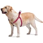Шлея WAUDOG Nylon з QR-паспортом, малюнок "Кавун" 15 мм 40-55 см різнокольоровий (5038) фото 2